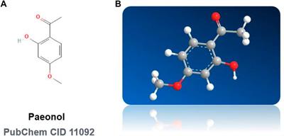 A review on therapeutical potential of paeonol in atherosclerosis